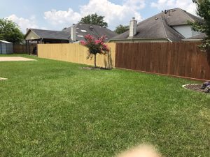 A photo of a completed fencing project by Mustang Fencing and Gates in Conroe, Texas, showcasing their experience working with Howard Boudreaux Jr.
