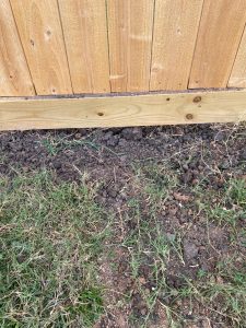 A custom 5'2" cedar fence being installed in Sugar Land, Texas by Mustang Fencing and Gates.