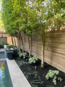 "Wooden fence in Houston surrounding a lush garden with mature trees."
