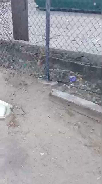 Short chain-link fence section along a concrete curb at a Houston-area commercial property