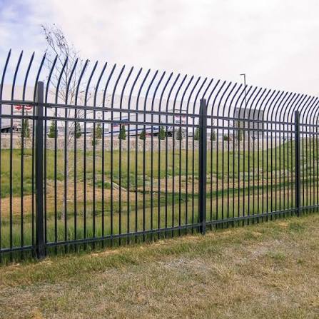 Curved anti-climb spear tops crown a satin-black powder-coated ornamental steel fence, showcasing the smooth, even factory finish and welded finial detail.